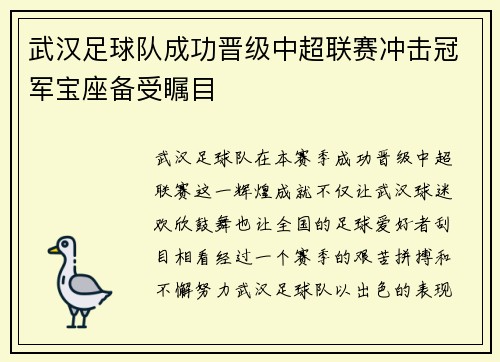 武汉足球队成功晋级中超联赛冲击冠军宝座备受瞩目